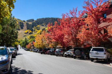 Aspen, CO / USA - 1 Ekim 2020: Colorado 'da yerleşim yeri olan Aspen şehir yolunun sonbahar manzarası