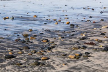 Stones scattered on Cardiff State Beach in San Diego, California. clipart