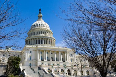 ABD Kongre Binası ilkbaharın başlarında, Washington 'daki National Mall' ın doğu ucunda batıya bakıyor.. 