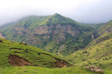 Sisli dağ manzarası