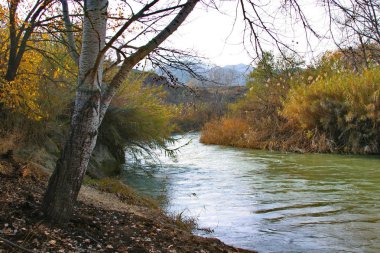 Sonbahar manzara Azərbaycanda vurdu