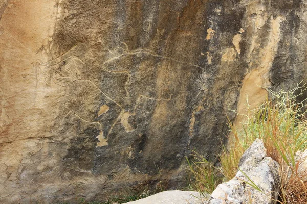 Eski insanlar Qobustan buzlu gravür