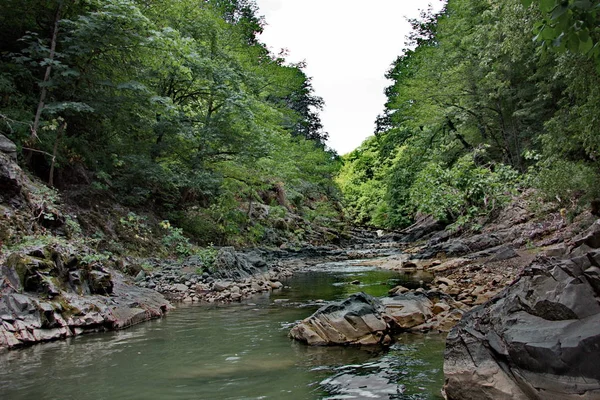 Belles rives de la rivière Vilash — Photo