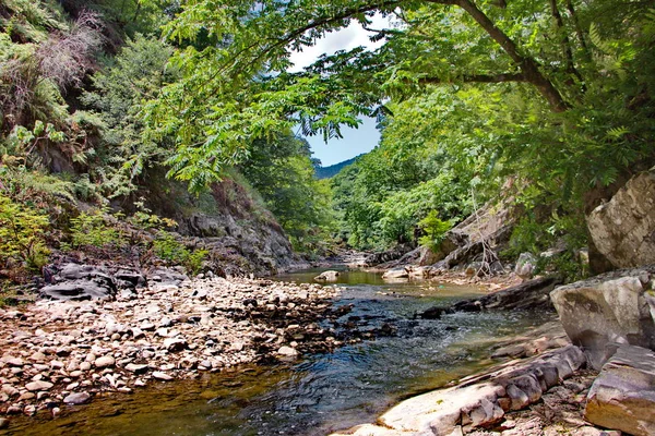 Belles rives de la rivière Vilash — Photo