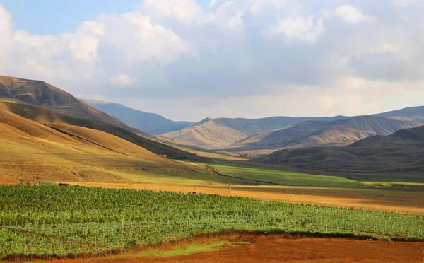 Valle Nel Distretto Shamakhi Azerbaigian Nella Stagione Estiva — Foto Stock