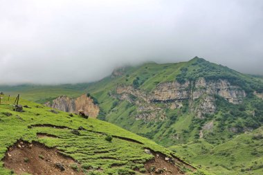 Dağ manzarası Kusar bölgesinden