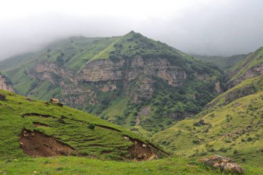 Dağ manzarası Kusar bölgesinden