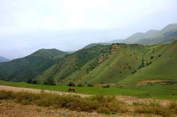 Paisaje de montaña de la región de Kusar — Foto de Stock