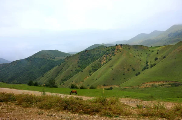 Dağ manzarası Kusar bölgesinden