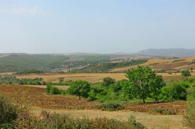 İsmayıllı bozkırlarında erken güz