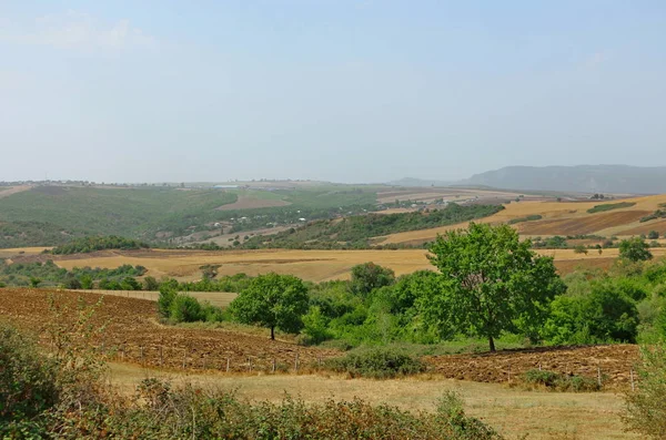 İsmayıllı bozkırlarında erken güz