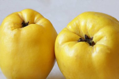 Olgun ayva ve bahçede yetiştirilen