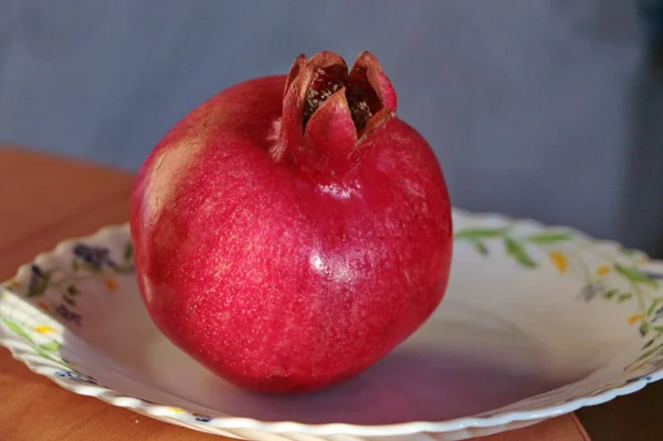 Grenades rouges mûres cultivées dans le jardin — Photo