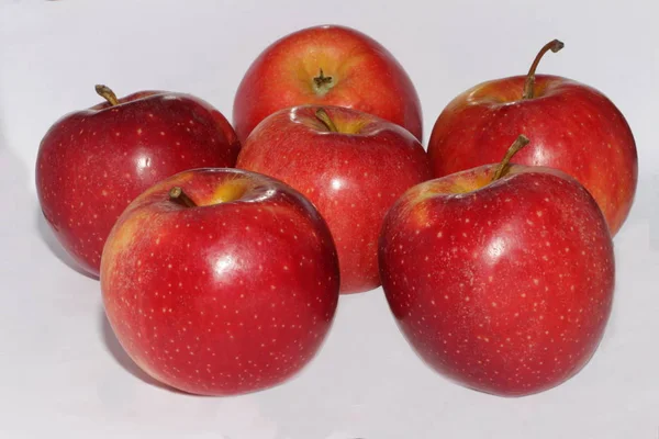 Ripe apple grown in the garden — Stock Photo, Image