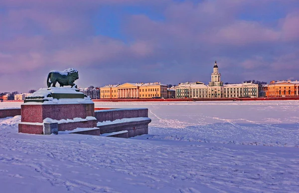 San Petersburgo helado, congelado Neva —  Fotos de Stock
