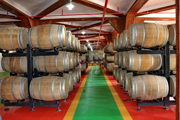 Endüstriyel meşe şarap fıçıları — Stok fotoğraf