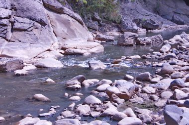 Talysh dağlarında yaz günü