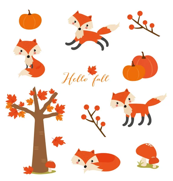 sevimli tilkiler ve sonbahar elementleri koleksiyonu