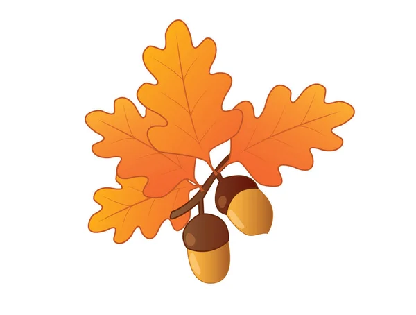 Illustration Autumn Sprig Acorns — Stock Photo, Image