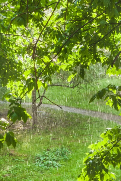 Pluie Extérieur Fenêtre Une Douche Soleil Une Pluie Aveugle Soleil — Photo