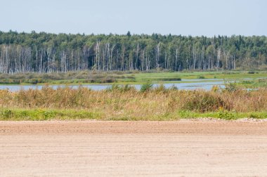 Alabino askeri eğitim alanı, Moskova Oblast, Rusya Federasyonu 