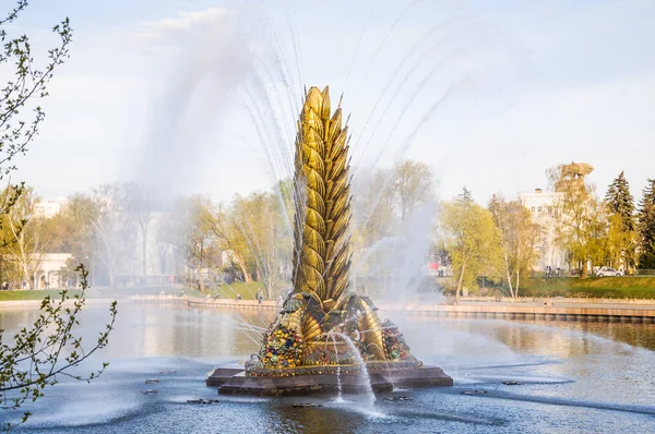 Moscú Rusia Mayo 2019 Fuente Soviética Legendaria Zolotoy Kolos Oreja — Foto de Stock