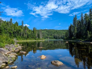 Kanada, 23 Temmuz 2025: Orman gölünde güneşli bir gün yansıması
