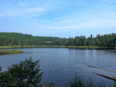 Kanada, 28 Temmuz 2025: Durgun orman gölü yemyeşil ağaçlarla çevrili gökyüzünü yansıtıyor
