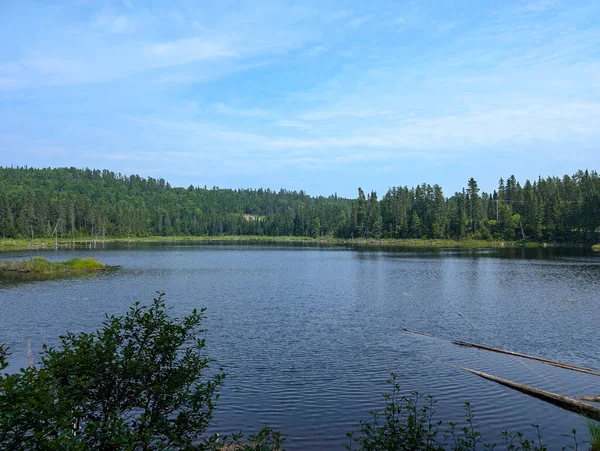 Kanada, 28 Temmuz 2025: Durgun orman gölü yemyeşil ağaçlarla çevrili gökyüzünü yansıtıyor