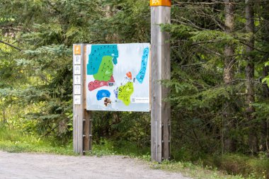 Kanada, 09 Ağustos 2025: Orman girişinde yeşil ağaçlarla çevrili renkli park haritası.