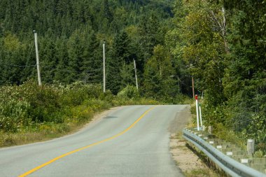 Kanada, 25 Ağustos 2025: Ağaçlarla, elektrik hatlarıyla, yemyeşil alanlarla çevrili virajlı köy yolu