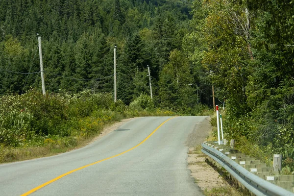 Kanada, 25 Ağustos 2025: Ağaçlarla, elektrik hatlarıyla, yemyeşil alanlarla çevrili virajlı köy yolu