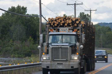 Kanada, 25 Ağustos 2025: Kırsal yolda taze kesilmiş kereste kütükleri taşıyan büyük tomruk kamyonu