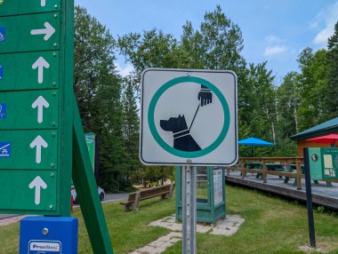 Kanada, 15 Temmuz 2025: Yeşil Orman Parkı 'nda ok işaretleri ve tasmalı köpek gerekli.