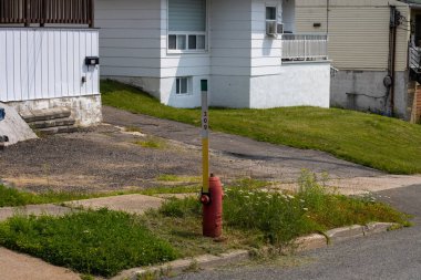 Kanada, 26 Temmuz 2025: Kırmızı itfaiye musluğu ve işaret direği aşırı büyümüş çim yol kenarında