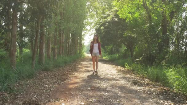 Feliz Joven Mujer Asiática Viajero Con Mochila Caminando Bosque Senderista — Vídeos de Stock