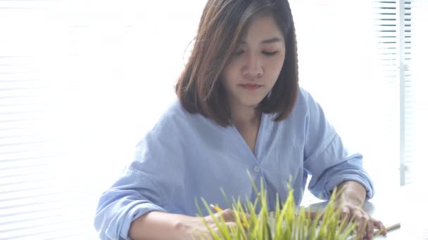 Mooie Jonge Lachende Aziatische Vrouw Bezig Met Laptop Zittend Een — Stockvideo