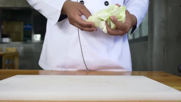 Primer Plano Del Jefe Haciendo Ensalada Comida Saludable Picando Lechuga — Vídeos de Stock