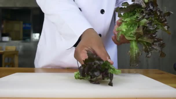 Gros Plan Chef Qui Prépare Une Salade Saine Coupe Laitue — Video