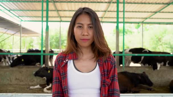 Hermosa Mujer Asiática Agricultor Con Vacas Establo Granja Lechera Agricultura — Vídeos de Stock