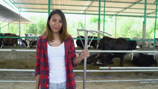 Hermosa Mujer Asiática Agricultor Con Vacas Establo Granja Lechera Agricultura — Vídeos de Stock