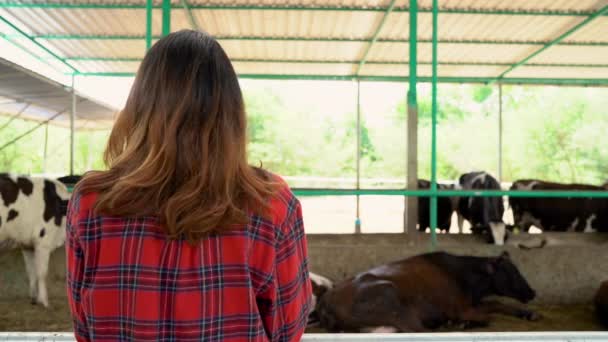 Mooie Aziatische Vrouw Boer Met Koeien Stal Melkveebedrijf Landbouw Veeteelt — Stockvideo