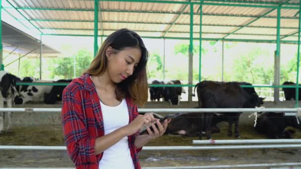 美丽的亚洲妇女或农民使用手机或智能手机应用和奶牛在牛栏的奶牛场耕作和畜牧业概念 — 图库视频影像