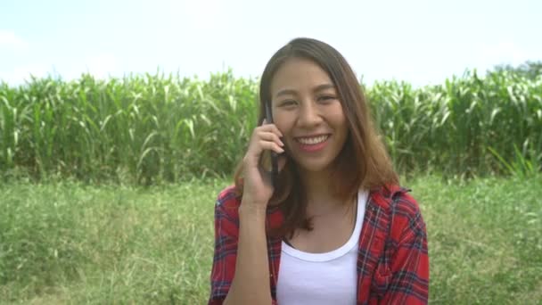 Glada Asiatiska Kvinnliga Jordbrukare Och Entreprenör Poserar Majs Grödan Och — Stockvideo
