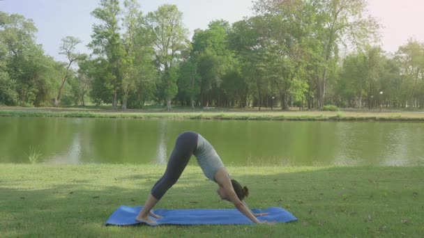 Jeune Femme Asiatique Yoga Plein Air Garder Calme Médite Tout — Video