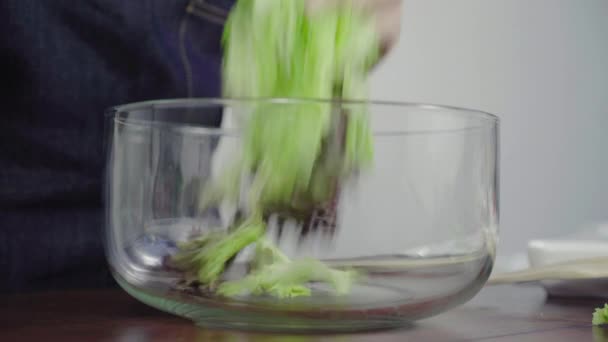 Gros Plan Jeune Femme Chef Consciente Santé Jetant Une Salade — Video