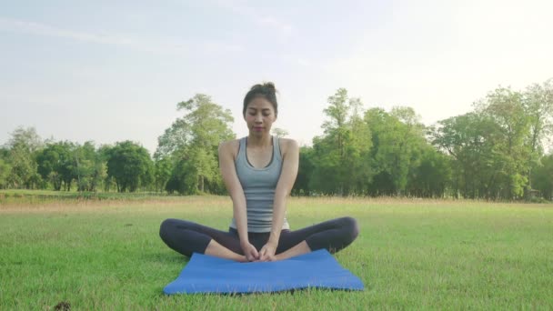 Joven Mujer Asiática Yoga Aire Libre Mantener Calma Medita Mientras — Vídeo de stock