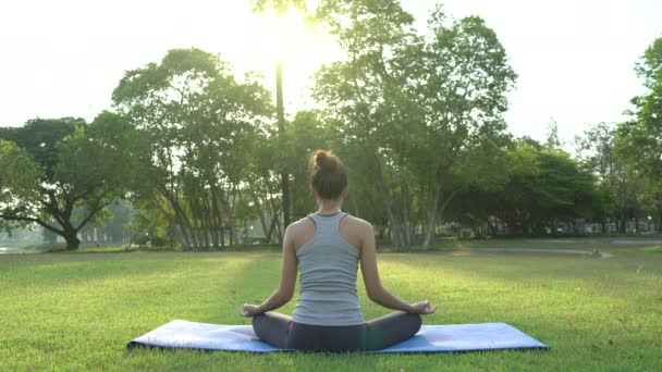 Mladá Asijská Žena Jógu Venku Zachovejte Klid Medituje Při Cvičení — Stock video