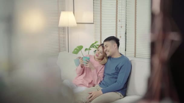 魅力的なアジアの甘いカップルでは 家庭でコーヒーやリビング ルームのソファの上に手でお茶の暖かいカップを飲む愛の瞬間をお楽しみください 夫と妻の概念を自宅でリラックス — ストック動画