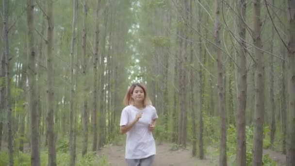 スポーツ衣料品を実行している 森林歩道をジョギングで健康的な美しい若い運動スポーティなアジア ランナー女性 ライフ スタイルに合わせて フォレストのコンセプトで活動的な女性運動 — ストック動画